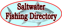 Fishing Lures - Saltwater Fishing Lures